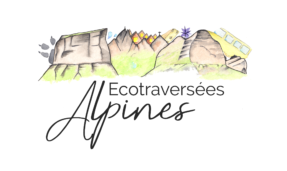 81. ecotraversees-alpines-Blanc